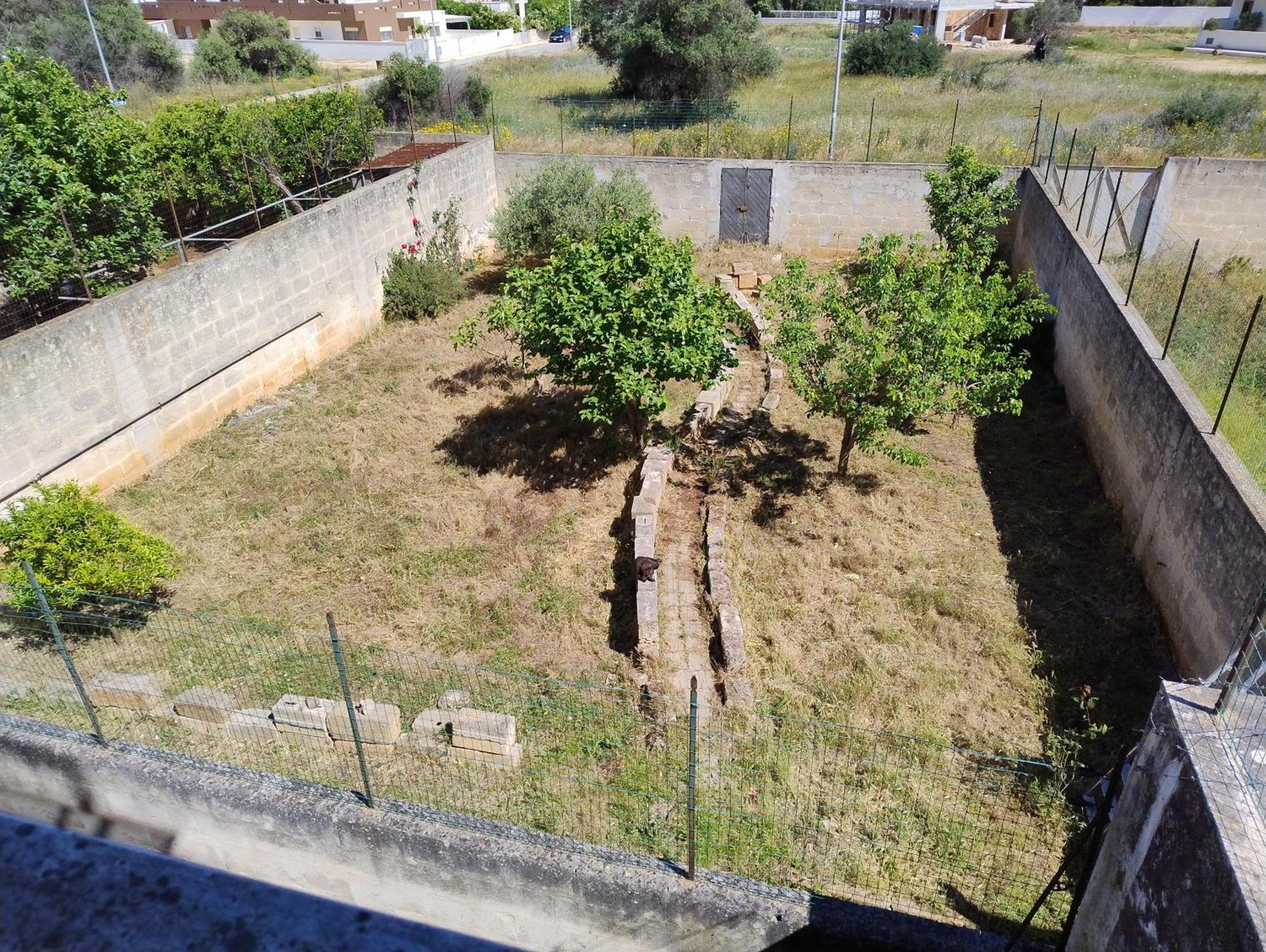 Favolosa Casa Con Terrazza, Idromassaggio, Cortile E Garage Auto Carovigno Exterior photo