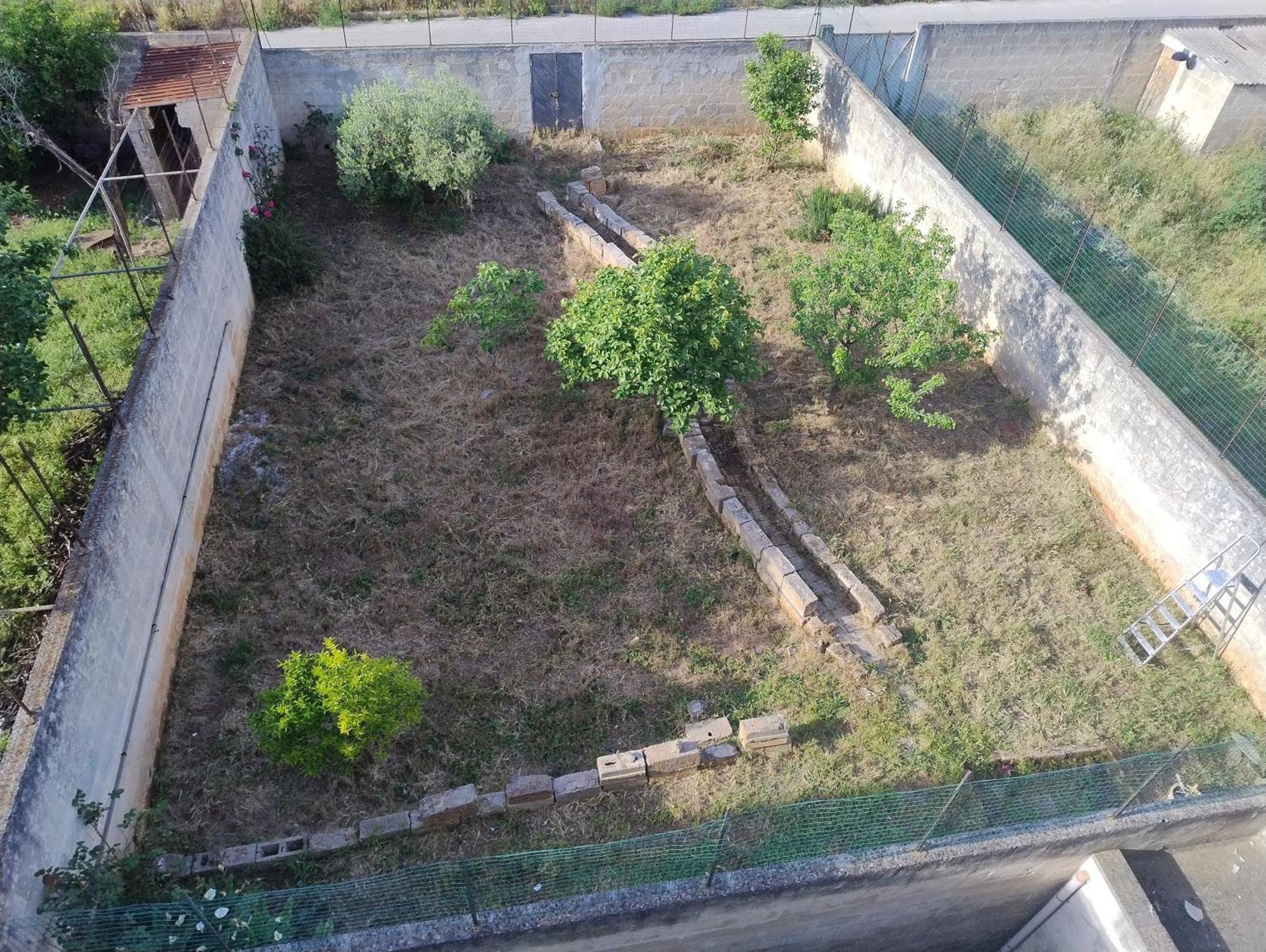 Favolosa Casa Con Terrazza, Idromassaggio, Cortile E Garage Auto Carovigno Exterior photo